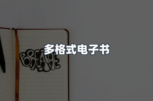 多格式电子书
